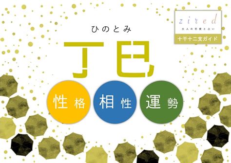 丁巳大運|【四柱推命】丁巳 (ひのとみ)の性格や特徴は？2024。